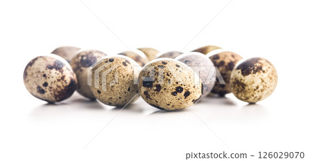 Spotted quail eggs isolated on white background. Spotted quail eggs isolated on white background. 126029070