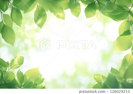 A background with a refreshing green leaf frame and white copy space. Spring fresh green image 126029253