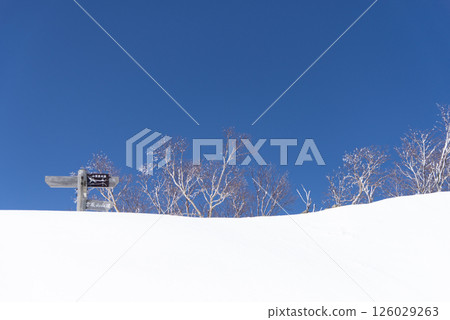 從東京雲取山的健行路線看到的路標 從東京雲取山的健行路線看到的路標 126029263