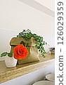 Mini roses and potted plants on a shelf 126029359