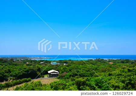 Yoron Island Yoron Island 126029724