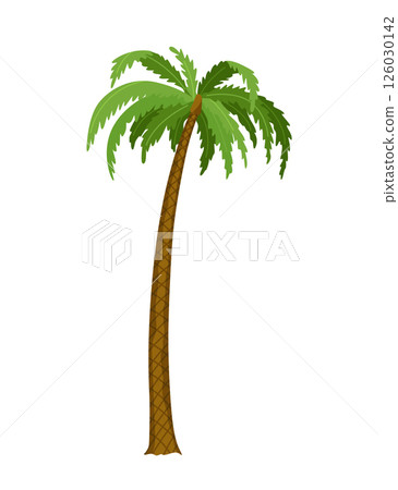 Kind of tree icon, palm. Deciduous plant. Green crowns and lush foliage with natural brown trunks and branches. Vector cartoon illustration Kind of tree icon, palm. Deciduous plant. Green crowns and lush foliage with natural brown trunks and branches. Vector cartoon illustration 126030142