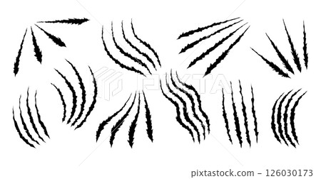 Bear or tiger claw marks. Scratches and torn traces of vector animal paw slashes. Hole in sheet of paper with torn edges. Vector illustration Bear or tiger claw marks. Scratches and torn traces of vector animal paw slashes. Hole in sheet of paper with torn edges. Vector illustration 126030173