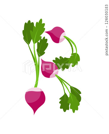 Veggie alphabet, English letter A made from fresh vegetables. Radish. Decoration concept for books, menus or shops. Vegetable lettering design on white background Veggie alphabet, English letter A made from fresh vegetables. Radish. Decoration concept for books, menus or shops. Vegetable lettering design on white background 126030183