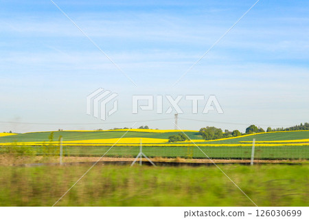Scenic Agricultural Fields in Spring Light Scenic Agricultural Fields in Spring Light 126030699
