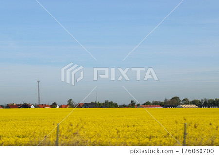 Scenic Agricultural Fields in Spring Light Scenic Agricultural Fields in Spring Light 126030700