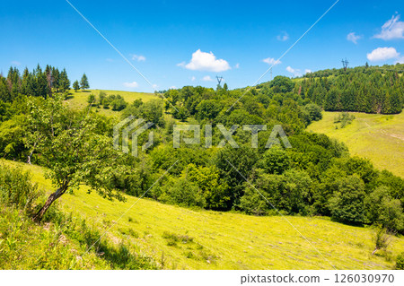 tranquil countryside landscape with forest on the hill in summer. scenic outdoor adventure in carpathians on a sunny day. tranquil countryside landscape with forest on the hill in summer. scenic outdoor adventure in carpathians on a sunny day. 126030970