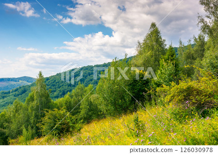 landscape with forest on the hill in summer. green grass on the mountain meadow. sunny day. lush foliage landscape with forest on the hill in summer. green grass on the mountain meadow. sunny day. lush foliage 126030978