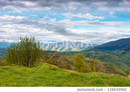 wonderful countryside mountain landscape spring. rural scenery with rolling hills and clouds on sky. picturesque alpine environment of ukraine 126030982