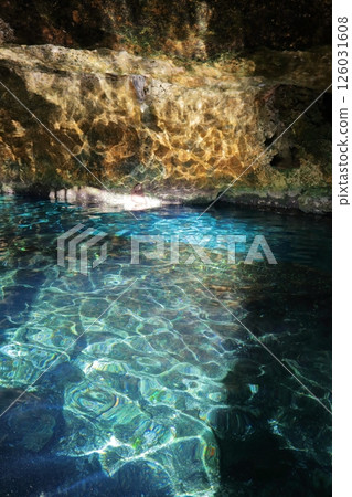Gran Cenote, a hidden gem with exceptional transparency, located in Cancun, Mexico, Central America 126031608