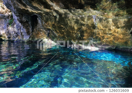 Gran Cenote, a hidden gem with exceptional transparency, located in Cancun, Mexico, Central America 126031609