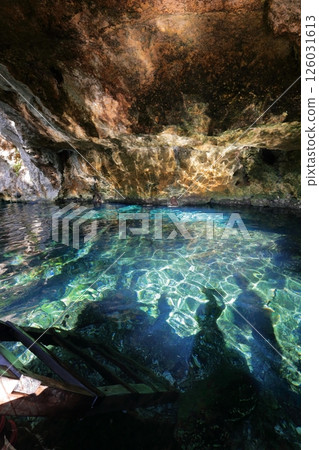 Gran Cenote, a hidden gem with exceptional transparency, located in Cancun, Mexico, Central America 126031613
