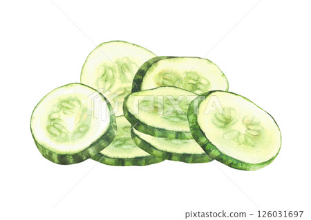 Sliced cucumber slices. Fresh vegetable cut cucumber circles with seeds. Watercolor realistic hand drawn illustration. Clipart for food, nature vegan salad, cosmetic label. Isolated from background 126031697