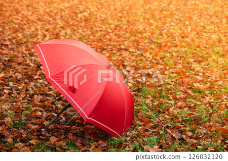 Red umbrella in autumn park on leaves carpet. 126032120