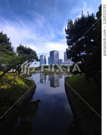Buildings as seen from Hama-rikyu Gardens, Tokyo Buildings as seen from Hama-rikyu Gardens, Tokyo 126033293