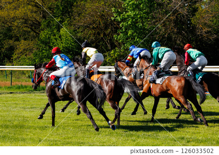 Group of jockeys racing on thoroughbred horses by green grass track race course back view on sunny day. Riders wear colorful uniforms under bright daylight, surrounded by trees and racetrack rails 126033502