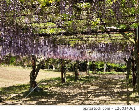 Okayama Wake Fuji Park Okayama Wake Fuji Park 126034361