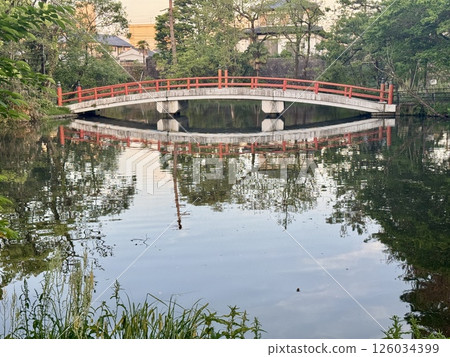 公園池塘上的鼓橋 126034399