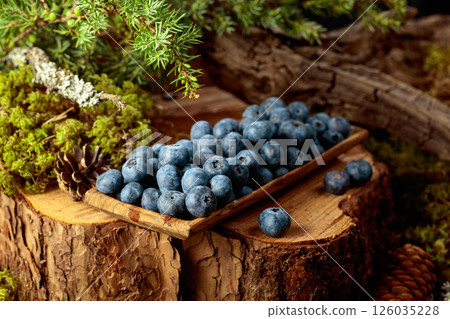 Blueberries in a wooden dish on a pine stump. 126035228