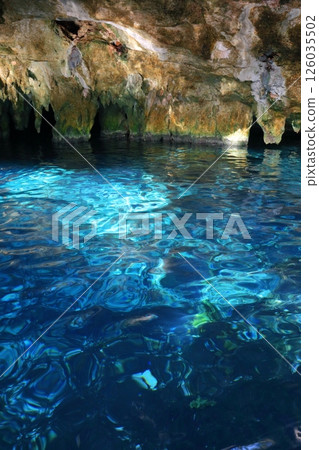 Gran Cenote, a hidden gem with exceptional transparency, located in Cancun, Mexico, Central America 126035502
