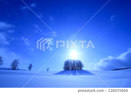 Biei, winter 126035668