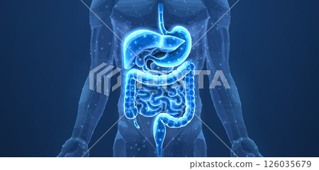 Abstract wireframe intestinal human digestive system. Gut health, bowel disease, gastrointestinal tract. Abstract wireframe intestinal human digestive system. Gut health, bowel disease, gastrointestinal tract. 126035679