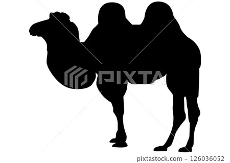 Camel silhouette illustration material vector 126036052