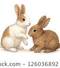 Rabbit  126036892