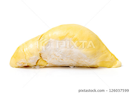 Mon Thong Durian is a signature Thai fruit known for its distinct smell and creamy sweet taste isolated on white background Mon Thong Durian is a signature Thai fruit known for its distinct smell and creamy sweet taste isolated on white background 126037599