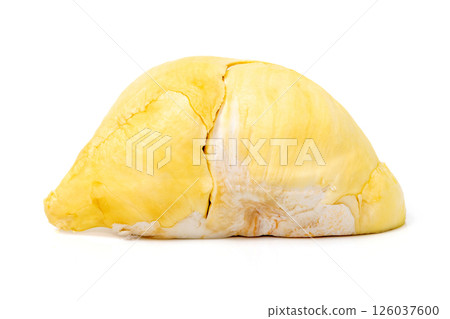 Mon Thong Durian is a signature Thai fruit known for its distinct smell and creamy sweet taste isolated on white background 126037600