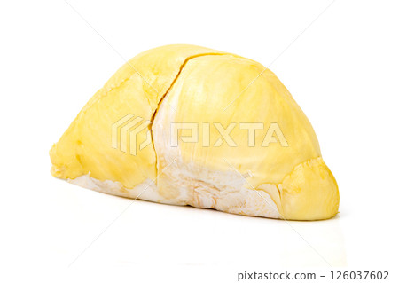 Mon Thong Durian is a signature Thai fruit known for its distinct smell and creamy sweet taste isolated on white background 126037602