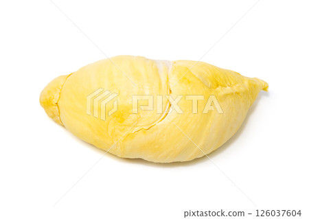 Mon Thong Durian is a signature Thai fruit known for its distinct smell and creamy sweet taste isolated on white background 126037604