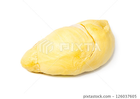 Mon Thong Durian is a signature Thai fruit known for its distinct smell and creamy sweet taste isolated on white background Mon Thong Durian is a signature Thai fruit known for its distinct smell and creamy sweet taste isolated on white background 126037605