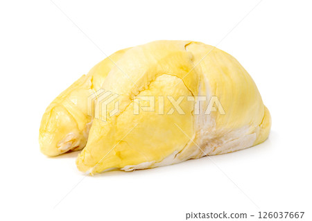 Mon Thong Durian is a signature Thai fruit known for its distinct smell and creamy sweet taste isolated on white background 126037667