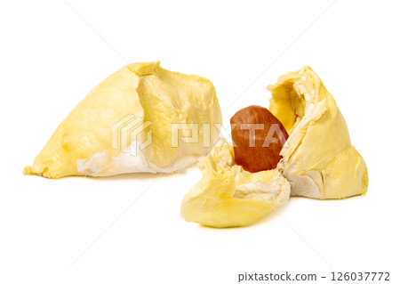 Mon Thong durian pulp with visible seed a popular Thai fruit known for its creamy texture and strong aroma isolated on white background 126037772