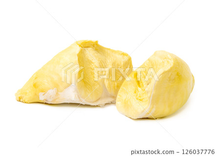 Mon Thong Durian is a signature Thai fruit known for its distinct smell and creamy sweet taste isolated on white background 126037776