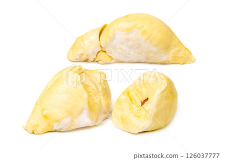 Mon Thong Durian is a signature Thai fruit known for its distinct smell and creamy sweet taste isolated on white background 126037777