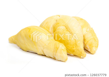 Mon Thong Durian is a signature Thai fruit known for its distinct smell and creamy sweet taste isolated on white background 126037779
