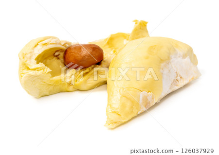 Mon Thong durian pulp with visible seed a popular Thai fruit known for its creamy texture and strong aroma isolated on white background 126037929