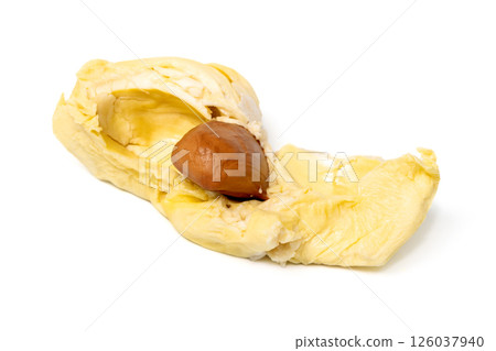 Mon Thong durian pulp with visible seed a popular Thai fruit known for its creamy texture and strong aroma isolated on white background 126037940