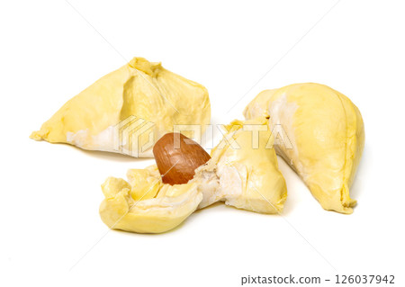 Mon Thong durian pulp with visible seed a popular Thai fruit known for its creamy texture and strong aroma isolated on white background 126037942