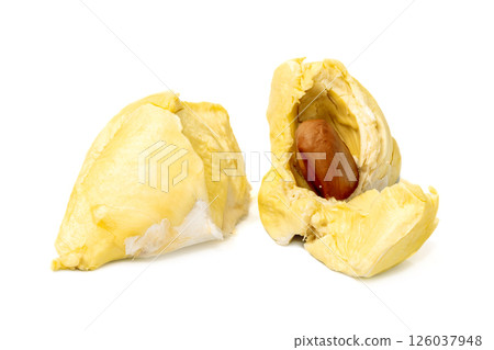 Mon Thong durian pulp with visible seed a popular Thai fruit known for its creamy texture and strong aroma isolated on white background Mon Thong durian pulp with visible seed a popular Thai fruit known for its creamy texture and strong aroma isolated on white background 126037948