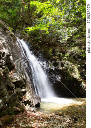 大島瀑布(愛知縣新城市東海自然步道) 大島瀑布(愛知縣新城市東海自然步道) 126038079