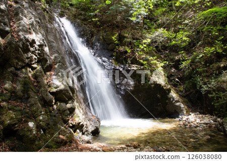 大島瀑布(愛知縣新城市東海自然步道) 大島瀑布(愛知縣新城市東海自然步道) 126038080