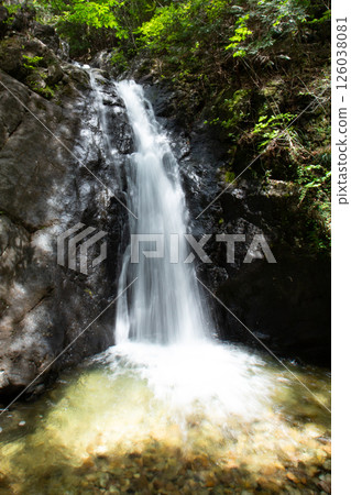 大島瀑布（愛知縣新城市東海自然步道） 126038081