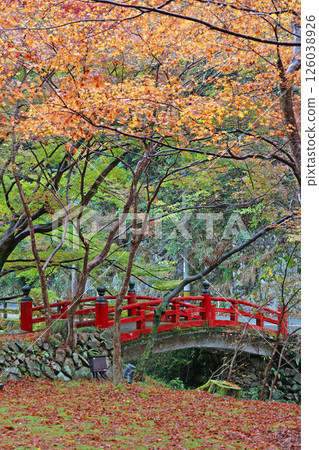 Autumn leaves of Da Ningong 126038926