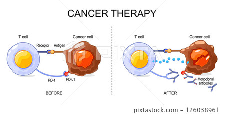 Cancer therapy and Monoclonal antibodies. 126038961