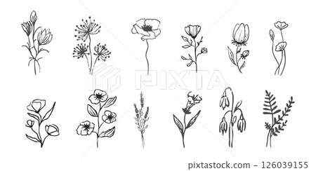 Wild forest herbs and flowers vintage textured chalk drawing sketch. Line grass retro flora silhouette. Crayon doodle hand drawn Wild forest herbs and flowers vintage textured chalk drawing sketch. Line grass retro flora silhouette. Crayon doodle hand drawn 126039155