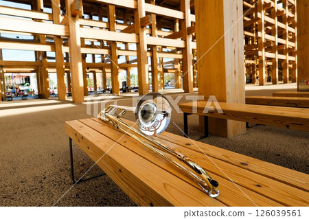 Trombone on the bench 126039561
