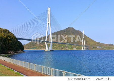[Hiroshima Prefecture] Tatara Bridge as seen from Tatara Shimanami Park Roadside Station in spring 126039810